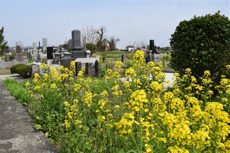 土葬 墓地|土葬とは？日本ではどの地域で行われている？土葬の会へ相談し。